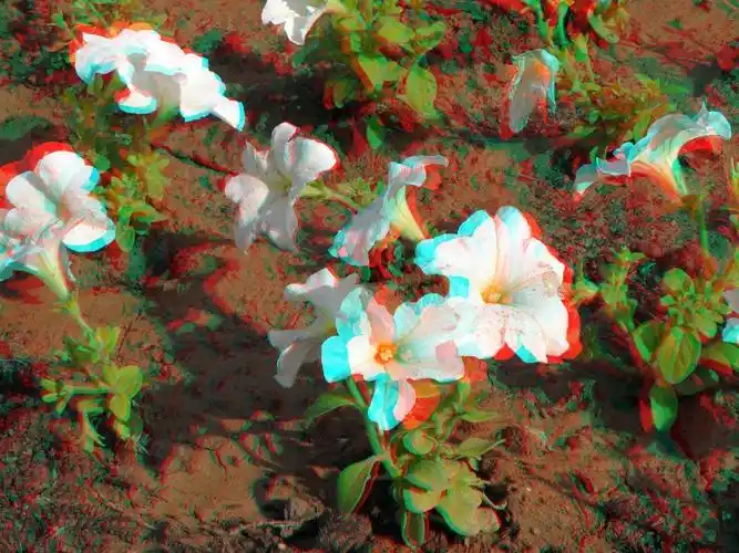 三维立体红绿双色三维立体图素材