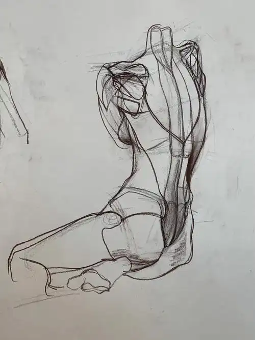 国美考研人体结构课程