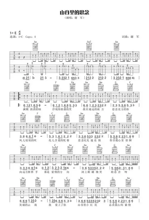 谢军山谷里的思念吉他谱c调吉他弹唱谱