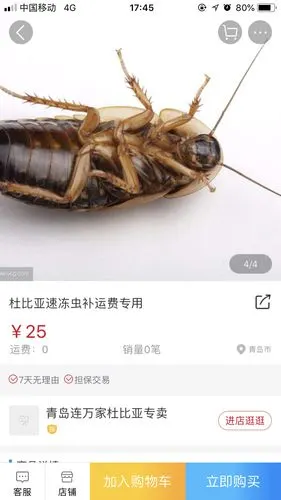 杜比亚蟑螂活动中奖名单公布单号已公布