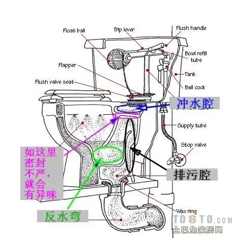 马桶堵了 求马桶结构图(详细)