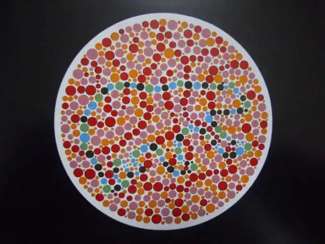 看不到就是色盲了!_答案