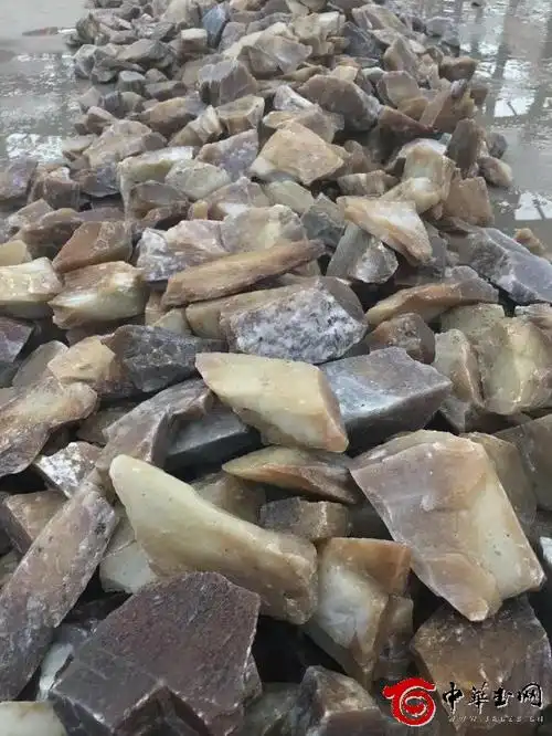 石佛寺和一标场举办新疆最大玉矿投标活动