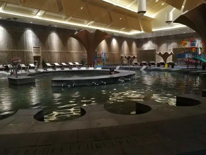 天津东丽湖恒大世博温泉   成人门票 自助餐