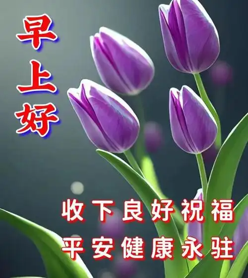 早安图片,暖心的周末早安问候图片,早上好问候语温馨祝福语录|舒畅