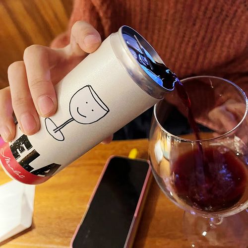 南非cela赤霞珠梅洛干红红葡萄酒易拉罐便携250ml*6开市客costco-mc