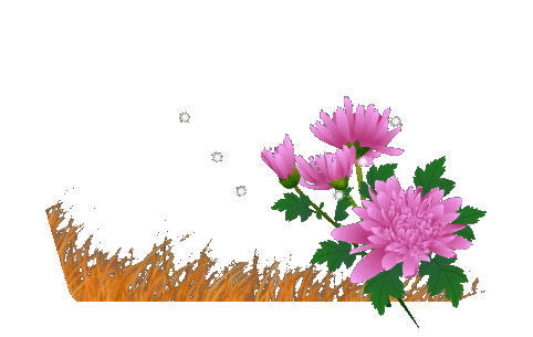 【免抠素材】—透明gif花草树木素材