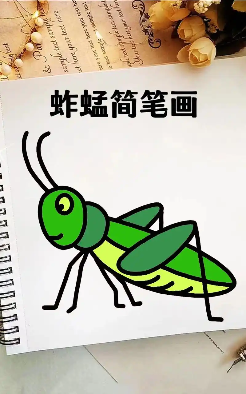 蚱蜢05简笔画.