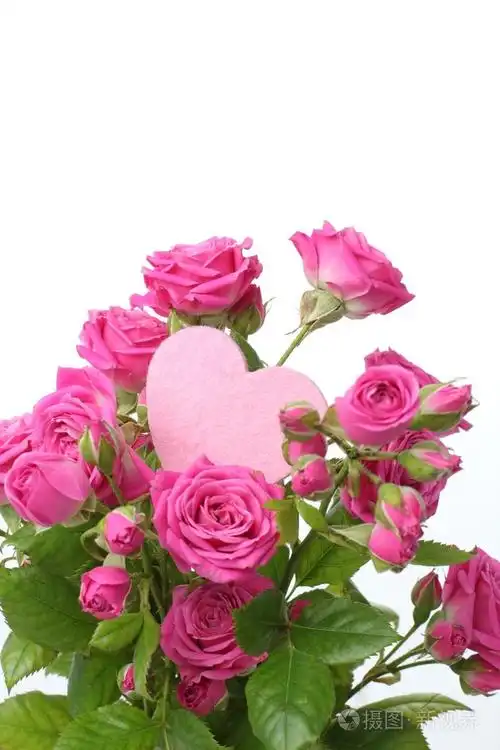 玫瑰花束用粉红色的心