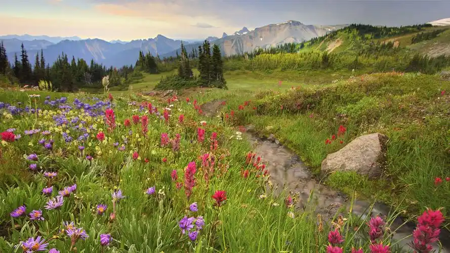 最新山林意境风光,高清图片,电脑桌面-壁纸族