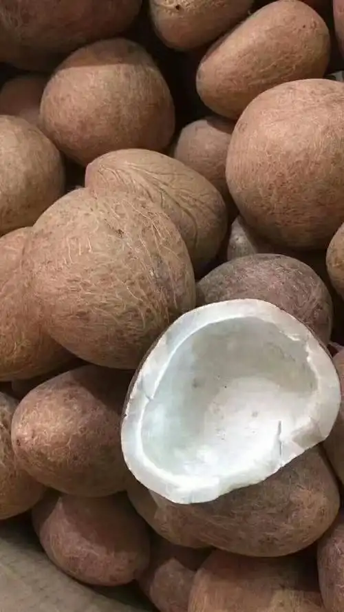 印度椰子皇一斤28!一斤3个左右.