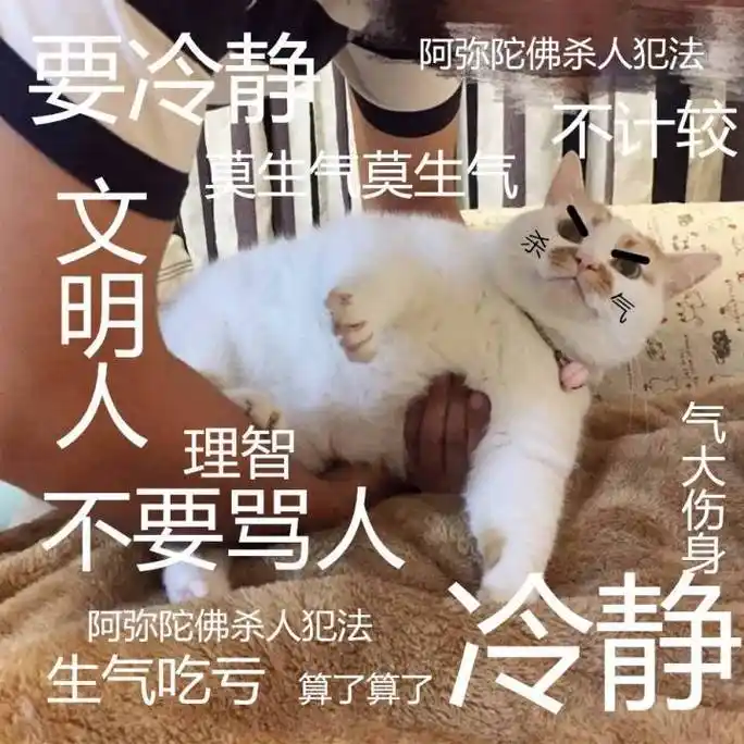 冷静gif猫咪gif生气gif好凶gif