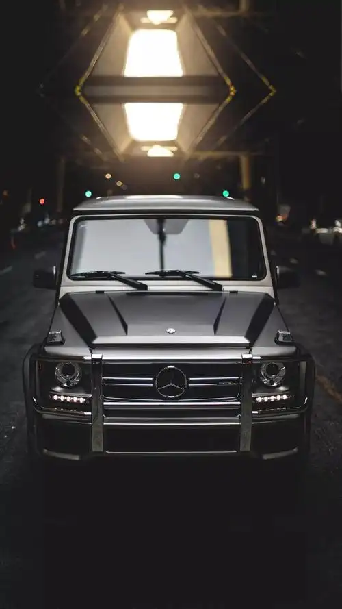 壁纸| 让男人疯狂的大g