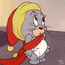 动图| (*`*) |tom and jerry