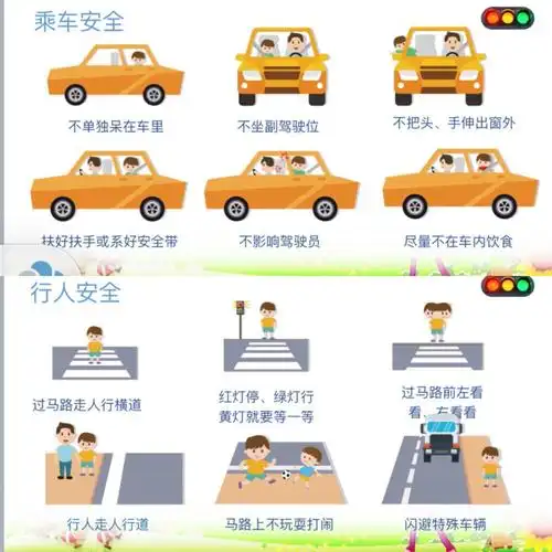 了解乘车安全与行车安全.