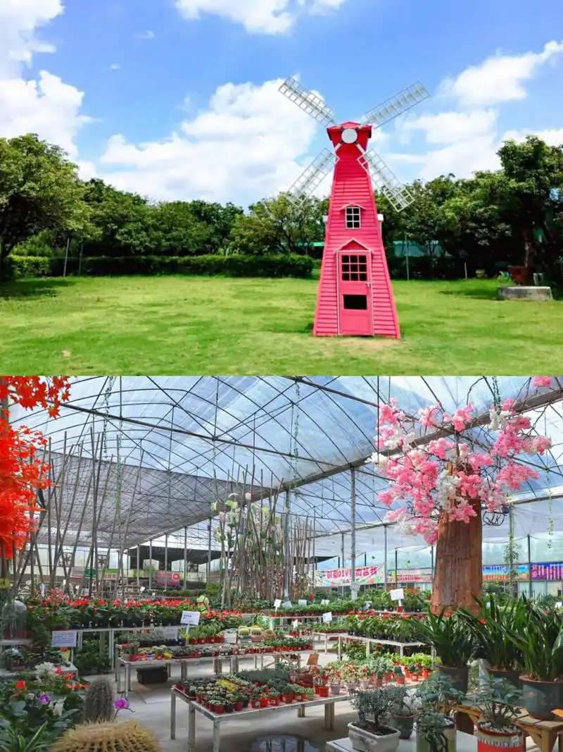 广东周末游|清远花卉小镇休闲好去处