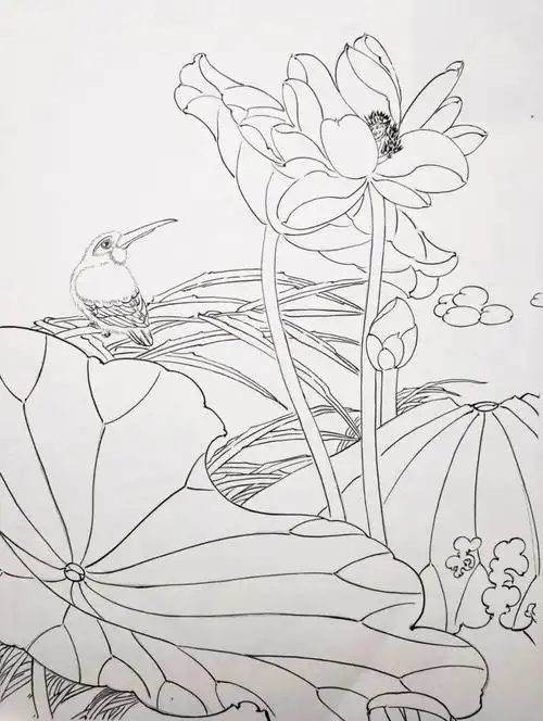 今日份白描,嘿嘿##每日一画  #白描基础 #绘画日常