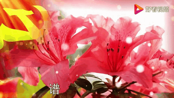 阿鲁阿卓深情演唱《映山红》,歌如天籁,醉人心脾!