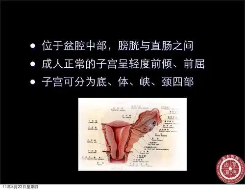 mri诊断  位于盆腔中部,膀胱与直肠之间 成人正常的子宫呈轻度前倾