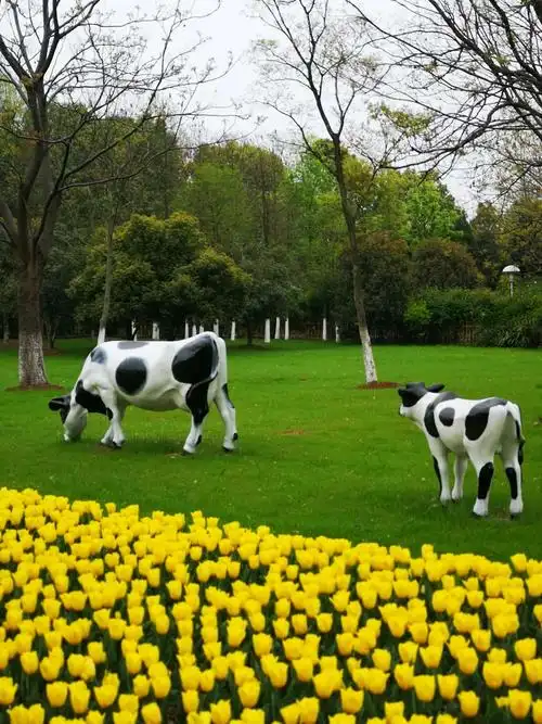 南京绿博园的春色