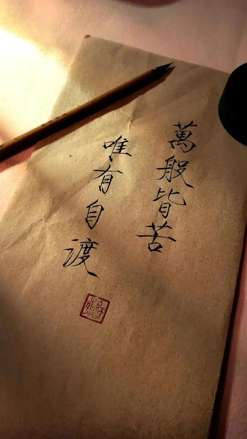 万般皆苦,唯有自渡#瘦金体 #古风 #传统文化  - 抖音