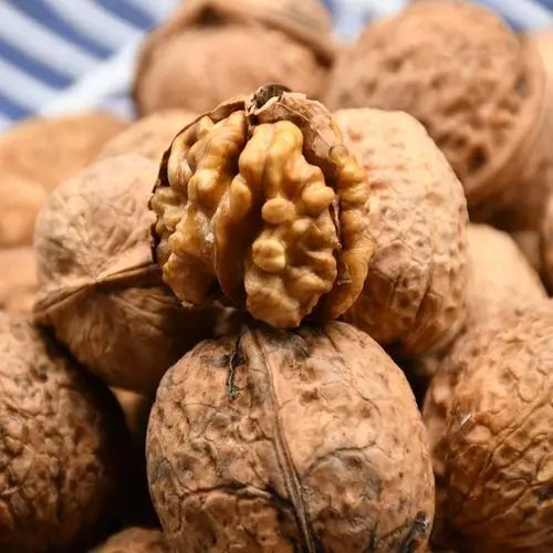 贵州毕节山核桃薄壳农家2020新货坚果孕妇薄皮纸皮