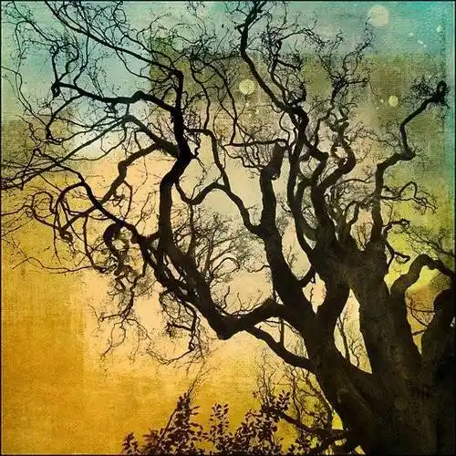 印象派摄影欣赏