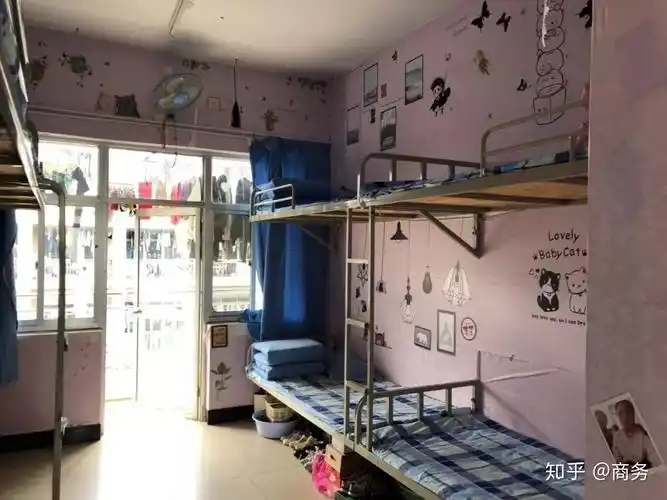 山东商务 - 知乎