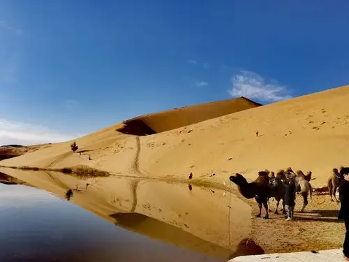 美丽的阿拉善右旗巴丹吉林国家沙漠地质公园