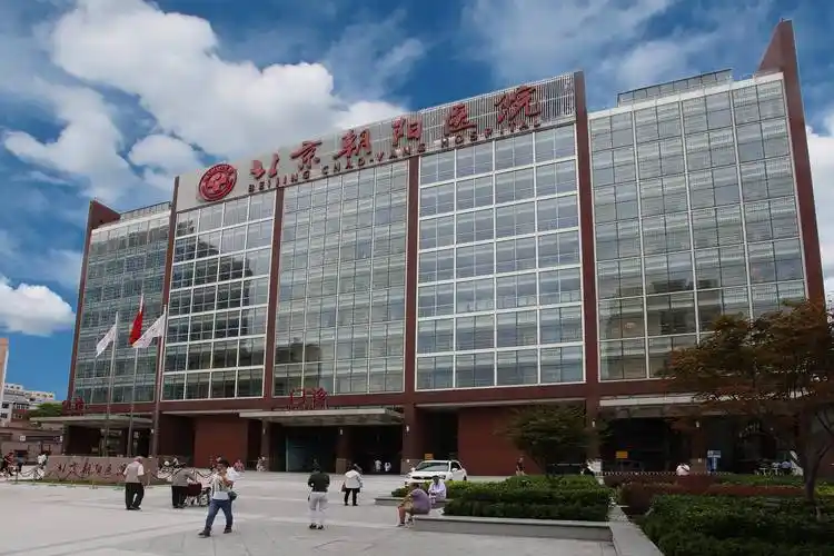 就医帮 | 北京朝阳医院挂号就诊全攻略_患者_检查报告_进行