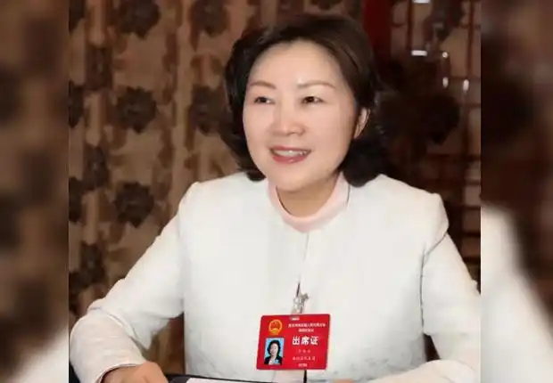 构建"快进,慢游,畅行"交通体系 重庆市人大代表,南川区委书记丁中平