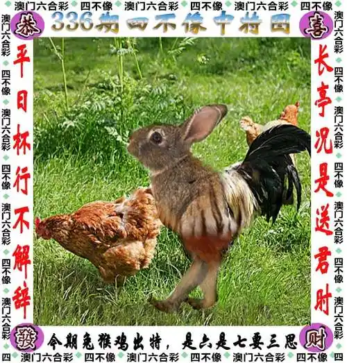 香港四不像精解澳门四不像精解天天好彩【四不像中特图】六合活动进行