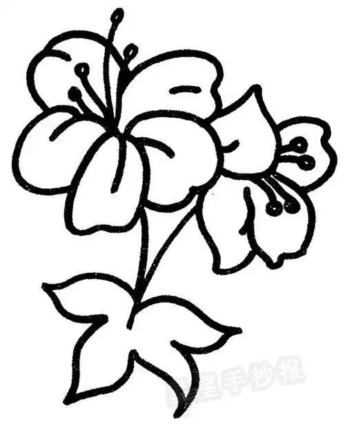 凤仙花简笔画-儿童简笔画大全