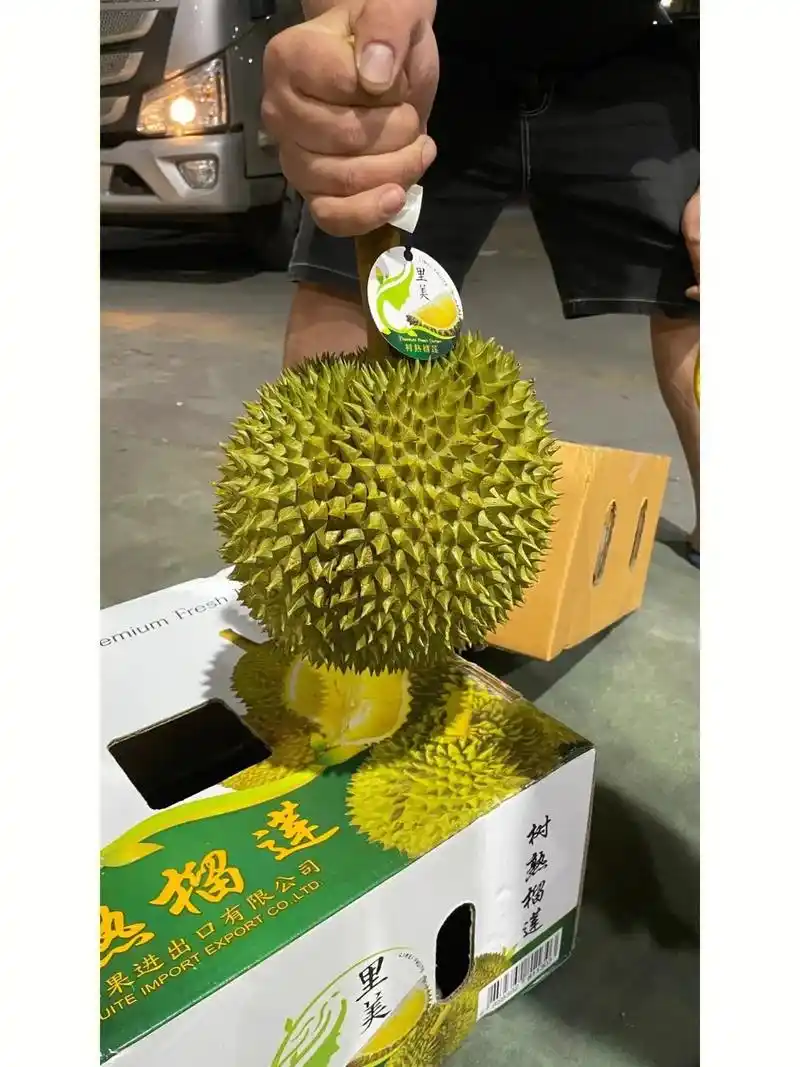 专供泰国皇室的长柄猫山王榴莲.长柄猫山王榴莲(少量熟果) 1 - 抖音