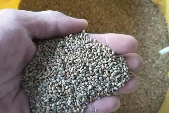 冬季贮藏牧草种子的要点,种子要避免与农药,氮素化肥一起存放