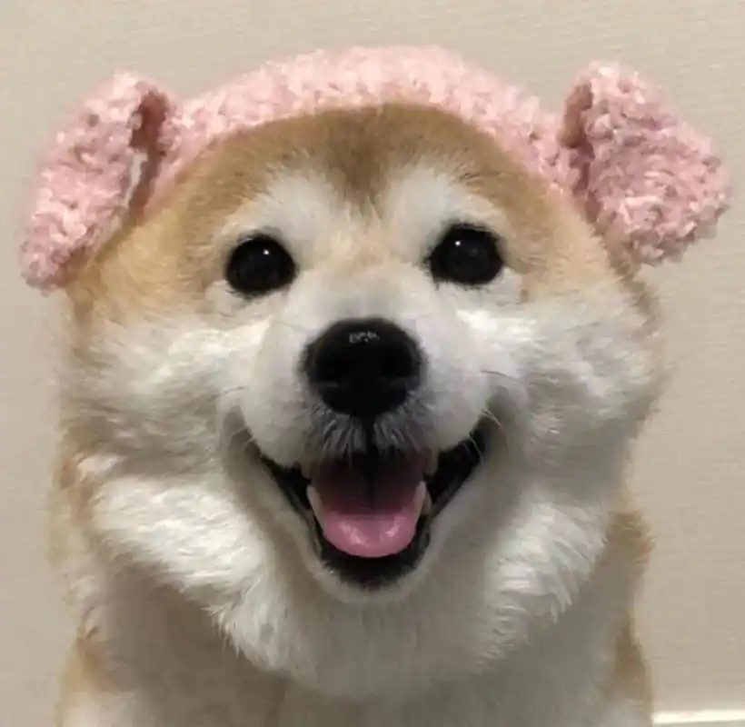 微信单身狗必备头像