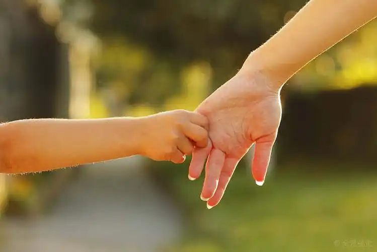 父母,手,小孩