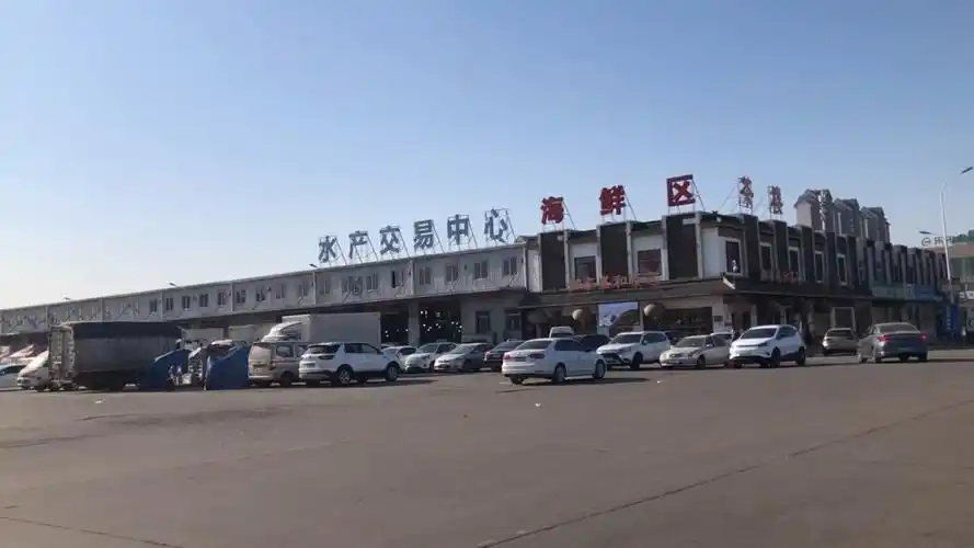 逛天津北辰最大水产交易市场,清江鱼13一斤,鲈鱼18一斤挺实惠