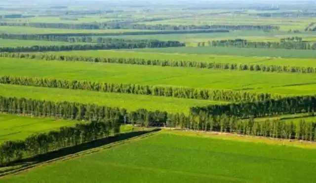 中国东北平原西部沙漠化现状,成因及其治理途径研究