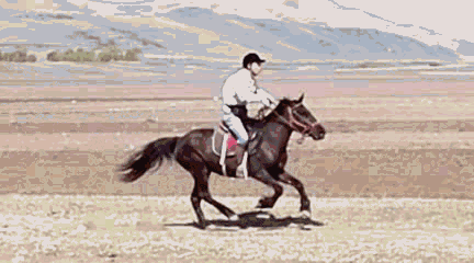 一个动作激活你的"性爱肌肉"!这10招让男人"石更"起来