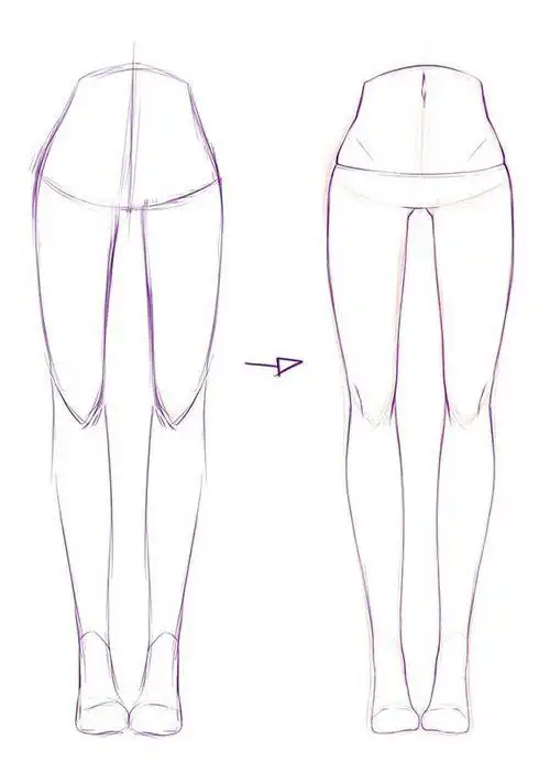 人体腿部的详细画法