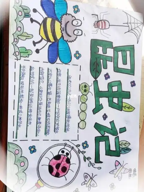 昆虫记手抄报