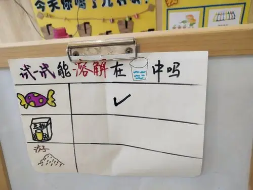 【晟禾联建幼儿园】——暑假班之科学实验站