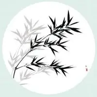 淡雅头像唯美_微信头像图片大全