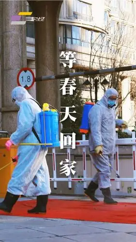 等疫情结束等春天回家