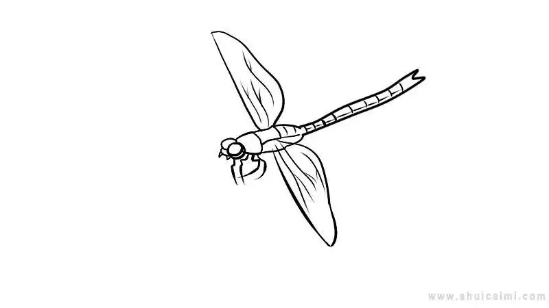 蜻蜓简笔画怎么画蜻蜓简笔画顺序