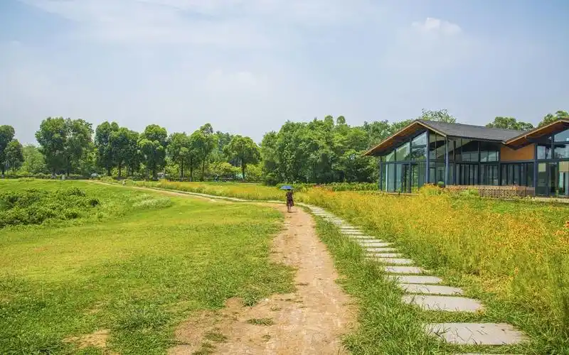 成都·青龙湖湿地公园