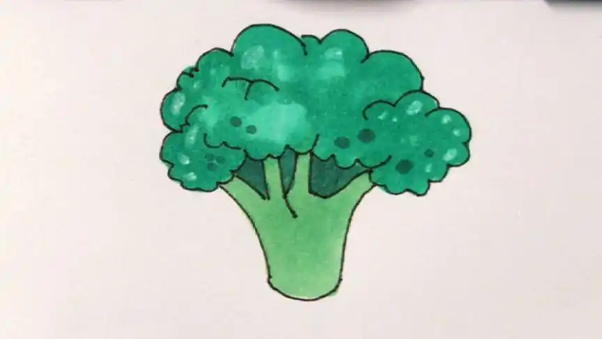 儿童美术简笔画,蔬菜系列西兰花