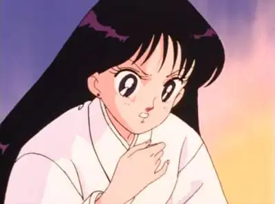 爱野美奈子 火野丽