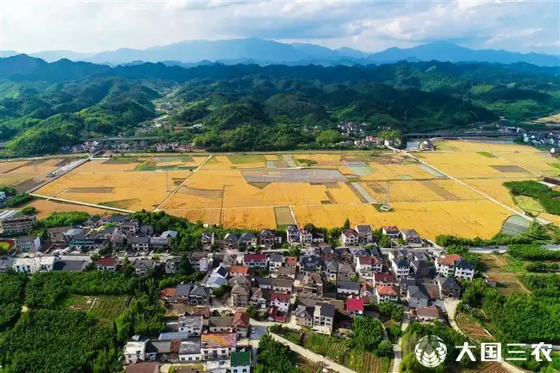 浙江省杭州市:美丽乡村 产业兴旺